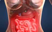 Анатомия человека: что у нас внутри и где расположены органы