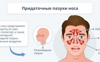 Как снять отек слизистой носа