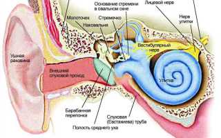 Почему закладывает уши и что делать?