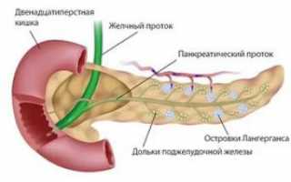 Принципы лечения поджелудочной железы при сопутствующем сахарном диабете