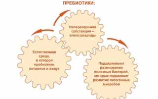 Обзор самых эффективных средств от запора (что лучше)