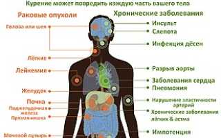 Как курение влияет на организм человека