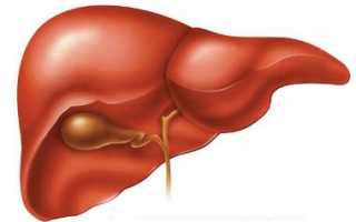 Особенности проявления и лечения лямблий в печени