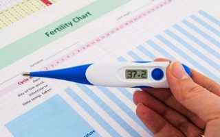 Определение базальной температуры на ранних сроках беременности, при овуляции, перед месячными, при климаксе
