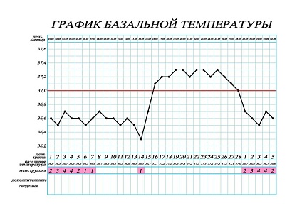 Базальный метод определения фертильности