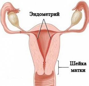 Эффект от использования Дивигеля