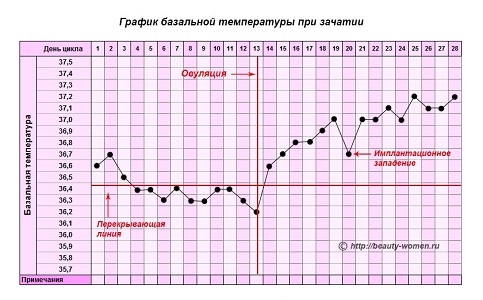 Отличие имплантационного кровотечения от месячных