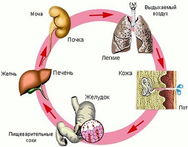 Побочные действия Флуконазола