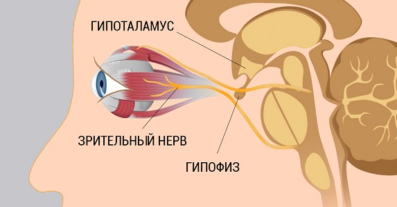 Причины длительных месячных