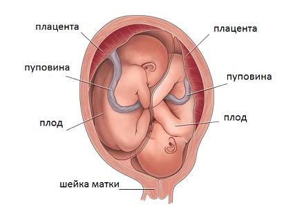 Причины повышенного уровня ХГЧ