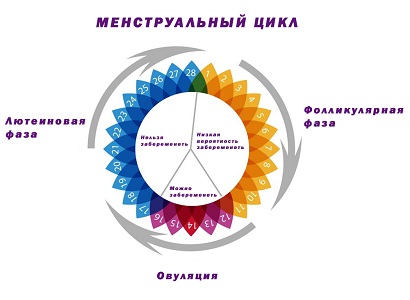 Витамины для регуляции менструального цикла