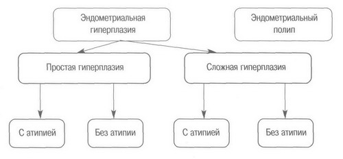 Классификация гиперплазии эндометрия