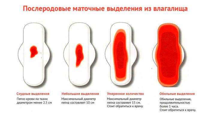 Послеродовые менструации