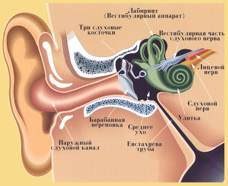 Схема баротравмы уха